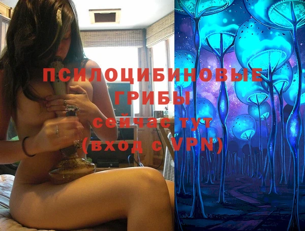 хмурый Алексин