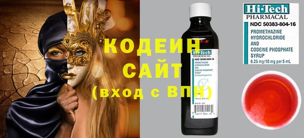 хмурый Алексин