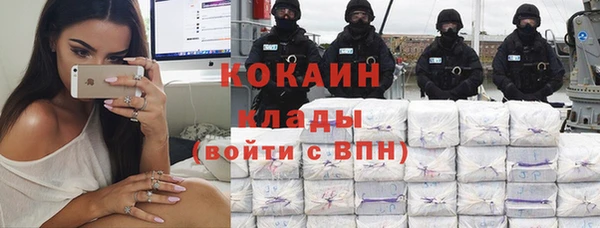 хмурый Алексин