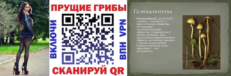 Купить где  Набережные Челны  Галлюциногенные грибы GOLDEN TEACHER 